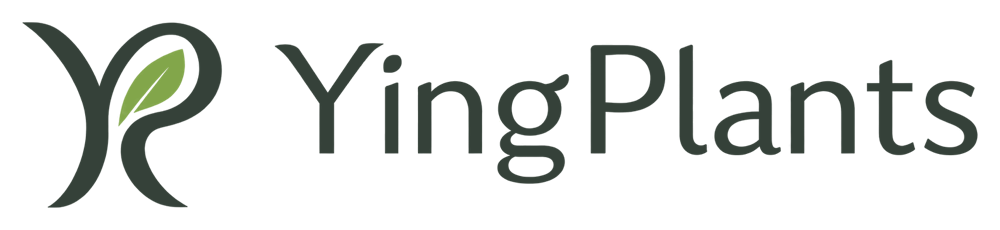 YingPlants — Artificial Plants Manufacturer