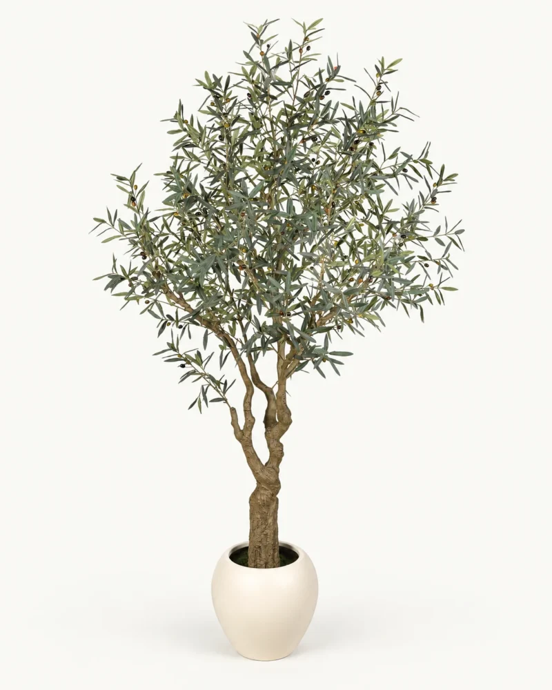 260 cm Curled-Leaf Artificial Olive Tree product view