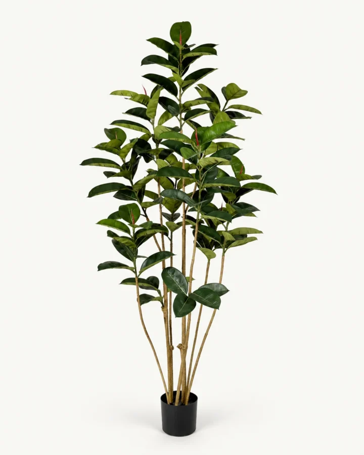 185 cm 7-Stem Artificial Rubber Tree product view