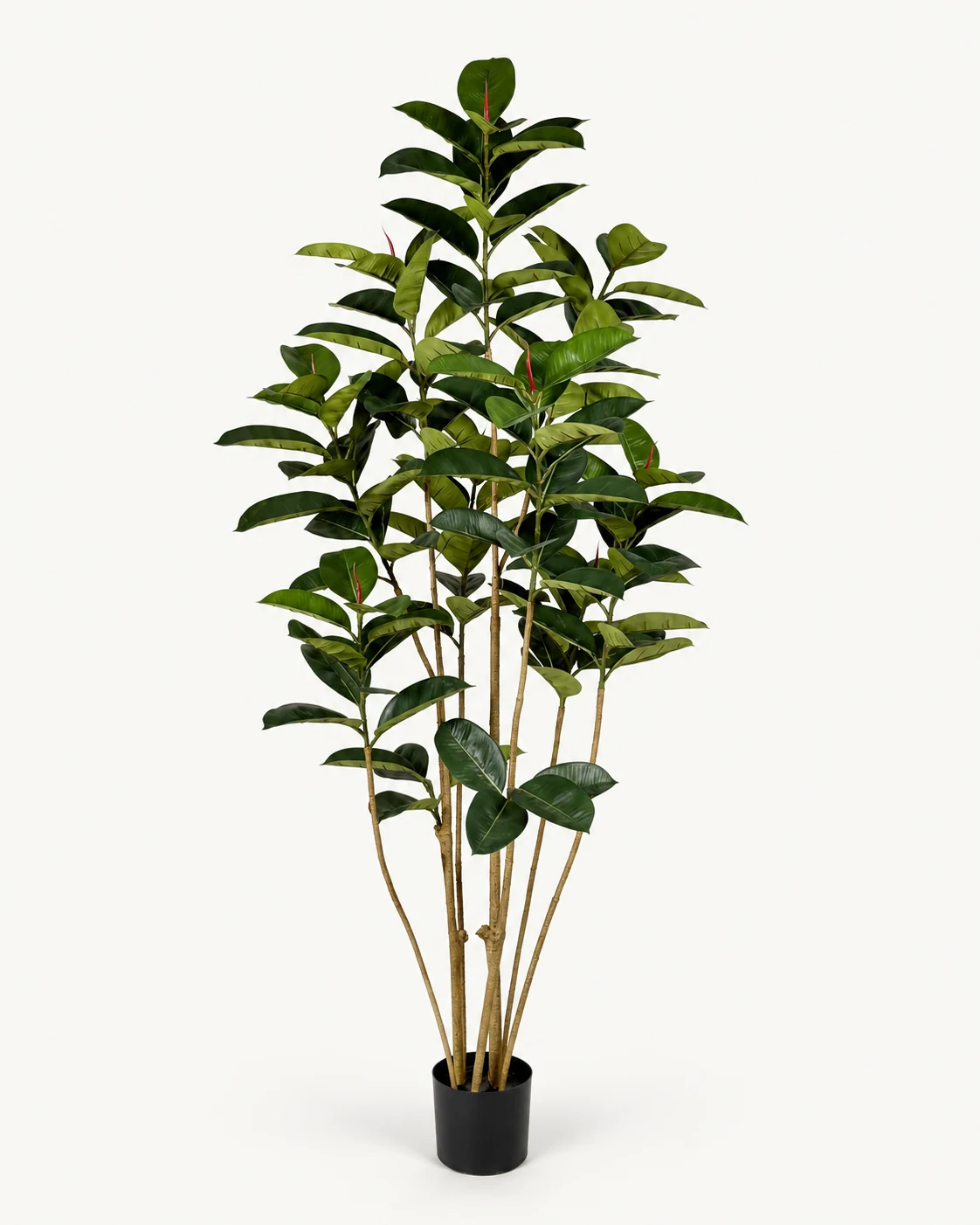 185 cm 7-Stem Artificial Rubber Tree product view