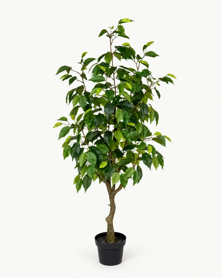 110 cm Artificial Ficus Tree product view
