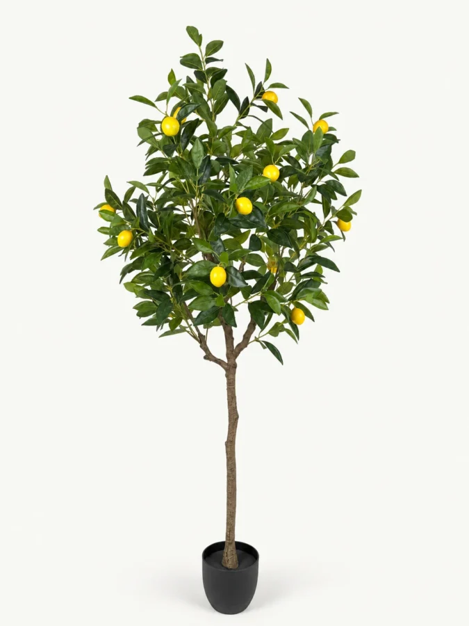 155 cm Single-Trunk Artificial Lemon Tree product view