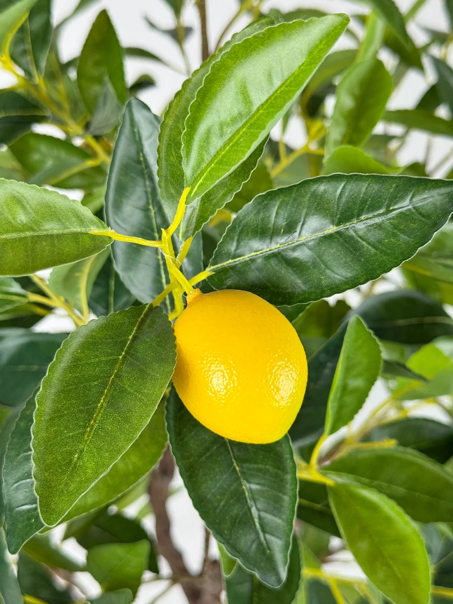 5 ft Single-Trunk Artificial Lemon Tree — YP-A085S5-49616 — product detail