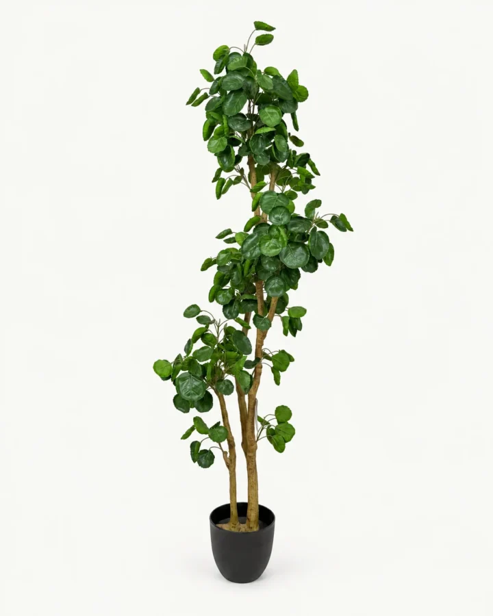 146 cm Artificial Balfour Aralia Plant product view