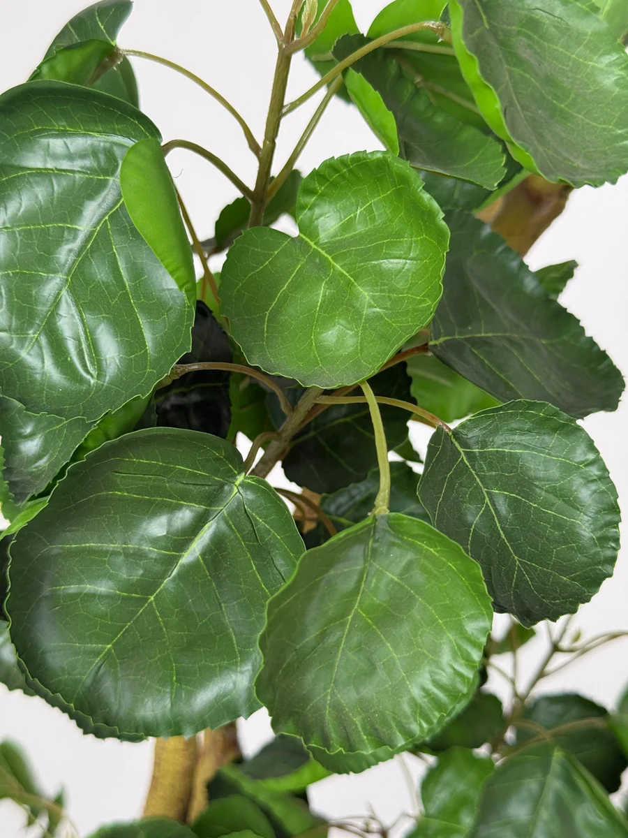 5 ft Artificial Balfour Aralia Plant — YP-A091S5-247 — product detail