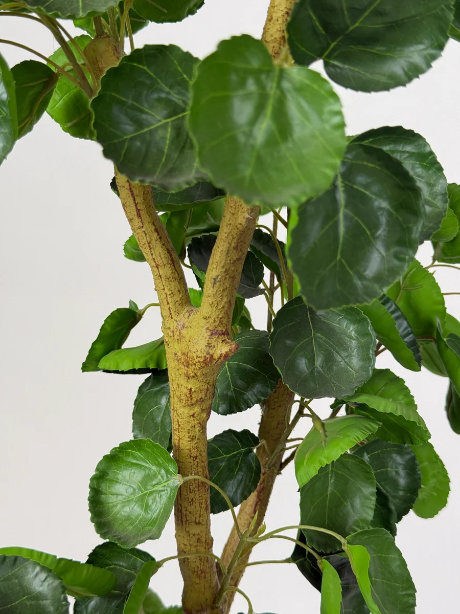 5 ft Artificial Balfour Aralia Plant — YP-A091S5-247 — product detail